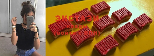 хмурый Абаза