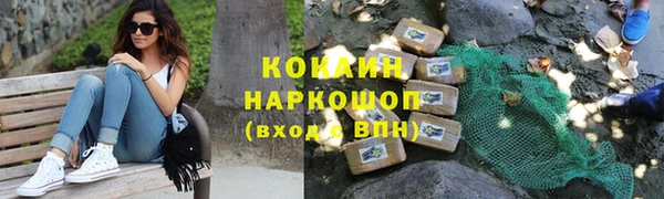 хмурый Абаза